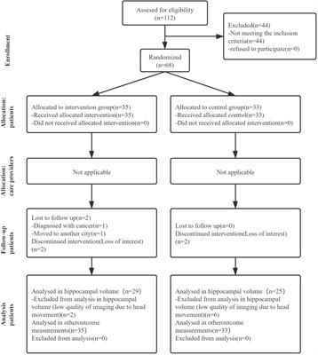 Effect of 3-Month Aerobic Dance on Hippocampal Volume and Cognition in Elderly People With Amnestic Mild Cognitive Impairment: A Randomized Controlled Trial